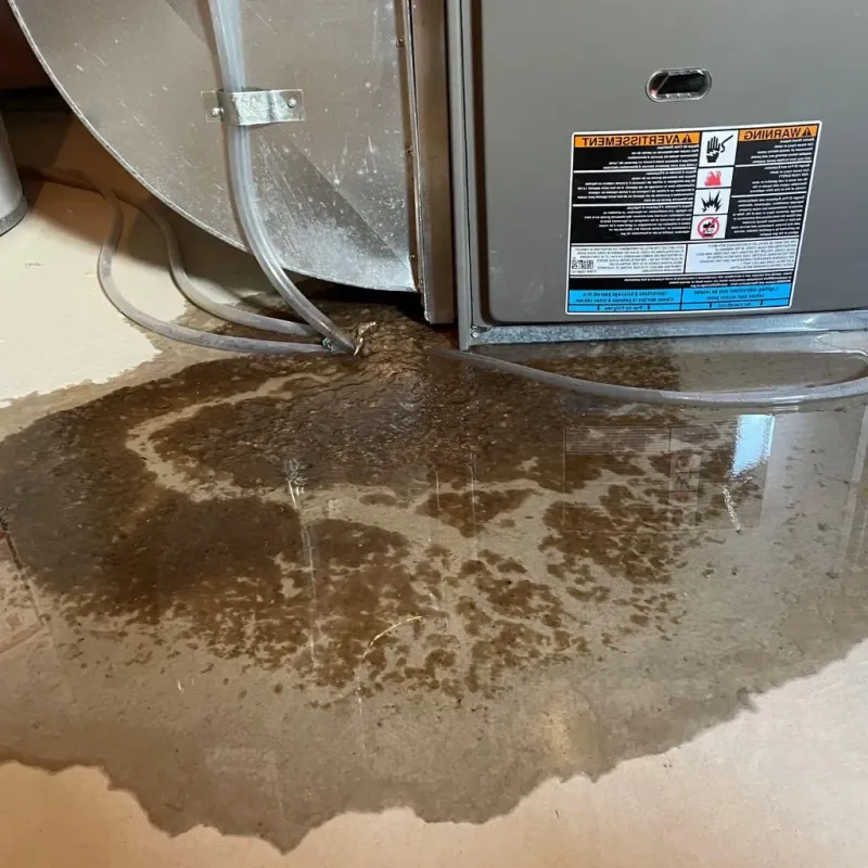 Pipe Burst and Leak Restoration in Coto Norte, PR